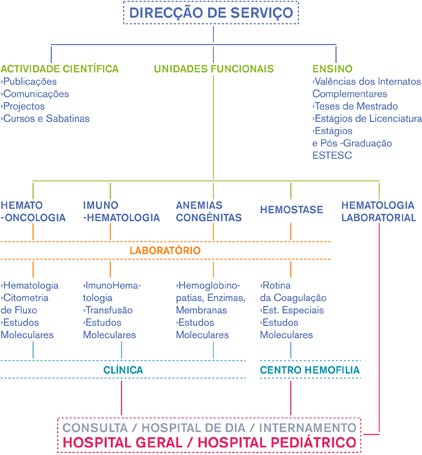 Organigrama Servio Hematologia CHC